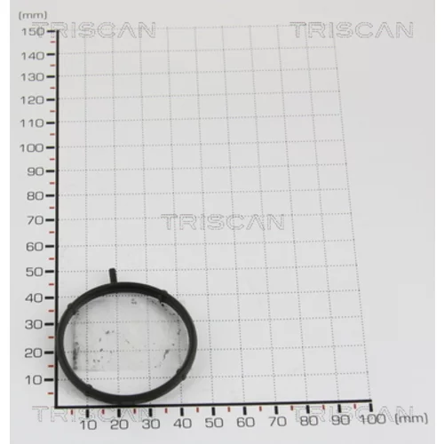 Tesnenie TRISCAN 8813 9959