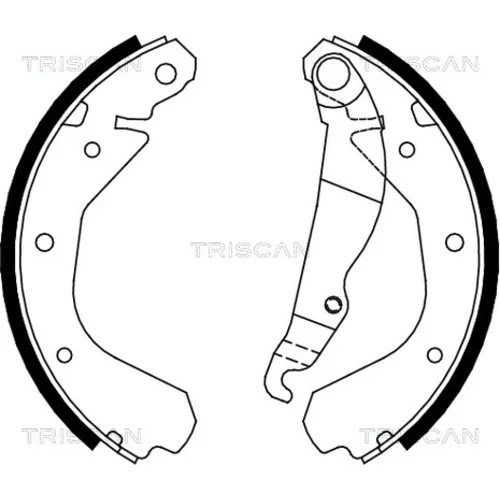 Sada brzdových čeľustí TRISCAN 8100 24413