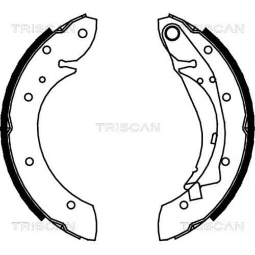 Sada brzdových čeľustí TRISCAN 8100 28598