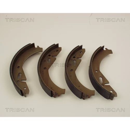 Sada brzdových čeľustí TRISCAN 8100 67305