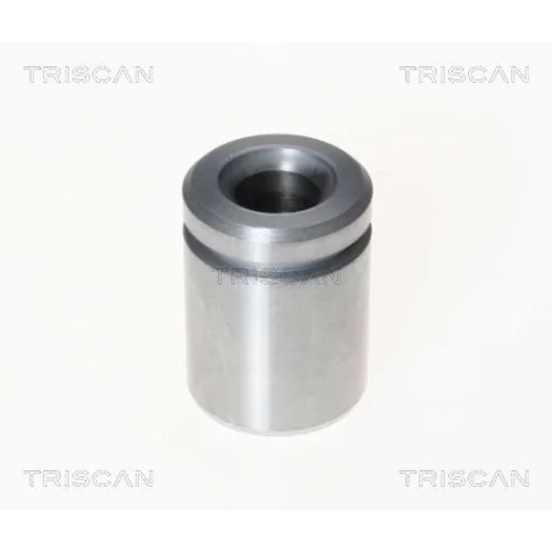 Piest brzdového strmeňa 8170 233633 /TRISCAN/