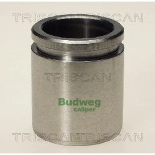 Piest brzdového strmeňa 8170 233831 /TRISCAN/