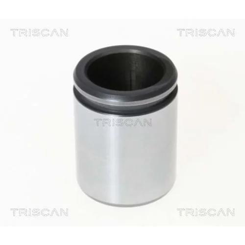 Piest brzdového strmeňa 8170 234229 /TRISCAN/