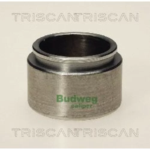 Piest brzdového strmeňa 8170 234317 /TRISCAN/