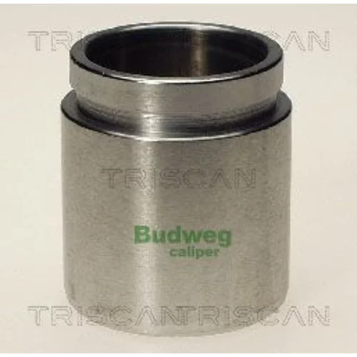 Piest brzdového strmeňa 8170 234328 /TRISCAN/