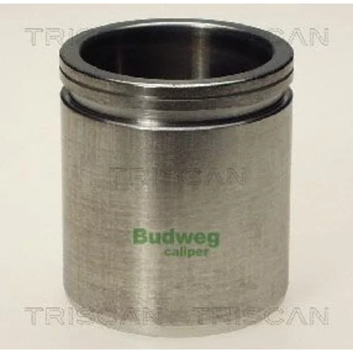 Piest brzdového strmeňa 8170 234511 /TRISCAN/