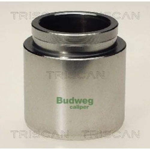 Piest brzdového strmeňa 8170 234806 /TRISCAN/