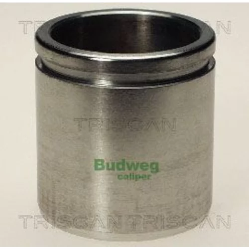 Piest brzdového strmeňa 8170 234823 /TRISCAN/