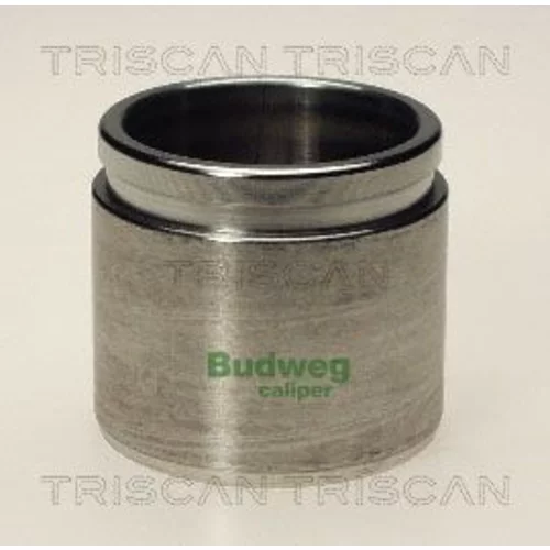 Piest brzdového strmeňa 8170 234839 /TRISCAN/
