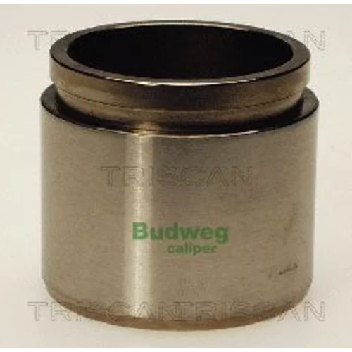 Piest brzdového strmeňa 8170 235106 /TRISCAN/