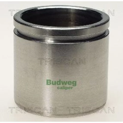 Piest brzdového strmeňa 8170 235421 /TRISCAN/