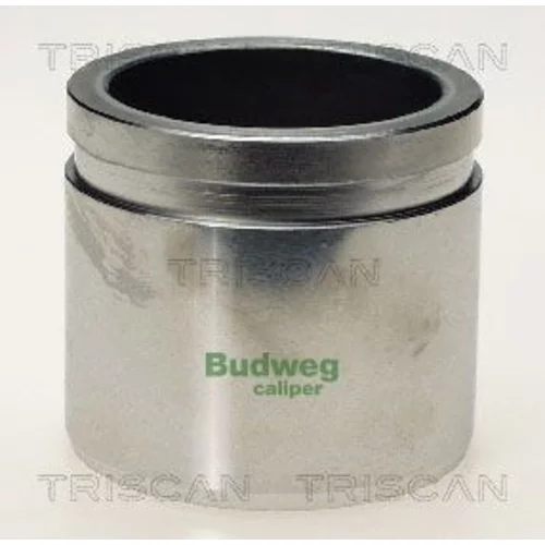 Piest brzdového strmeňa 8170 235465 /TRISCAN/