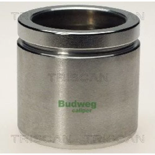 Piest brzdového strmeňa 8170 235725 /TRISCAN/