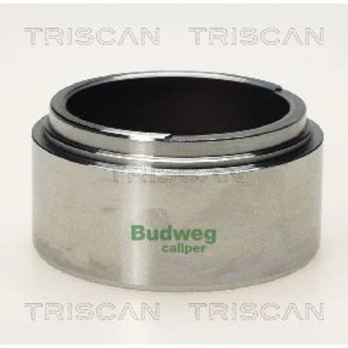 Piest brzdového strmeňa 8170 236005 /TRISCAN/