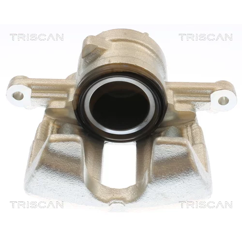 Brzdový strmeň TRISCAN 8175 10133