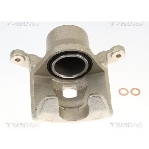 Brzdový strmeň TRISCAN 8175 14129