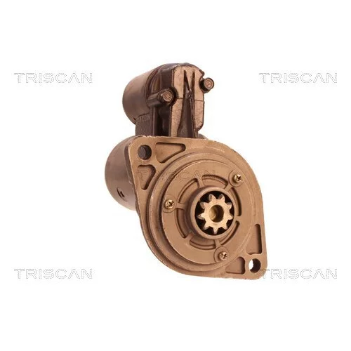 Štartér 8305 10106 /TRISCAN/ - obr. 7