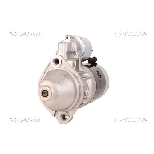Štartér TRISCAN 8305 29053