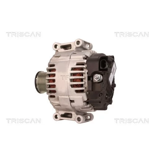 Alternátor 8310 10068 /TRISCAN/ - obr. 7