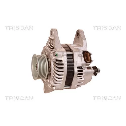 Alternátor 8310 10124 /TRISCAN/ - obr. 6