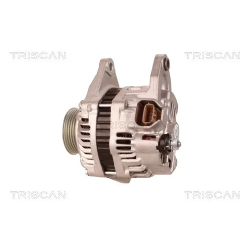 Alternátor 8310 10124 /TRISCAN/ - obr. 7