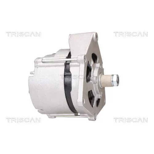 Alternátor 8310 10133 /TRISCAN/ - obr. 6