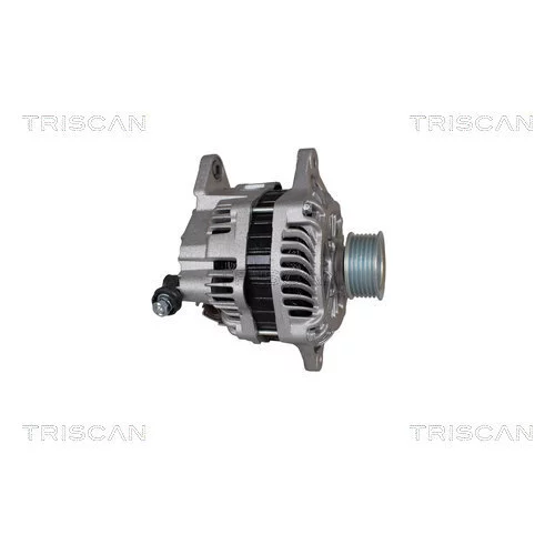 Alternátor 8310 10146 /TRISCAN/ - obr. 3