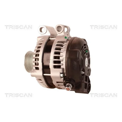Alternátor 8310 10148 /TRISCAN/ - obr. 7