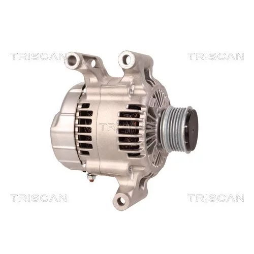 Alternátor 8310 13048 /TRISCAN/ - obr. 3