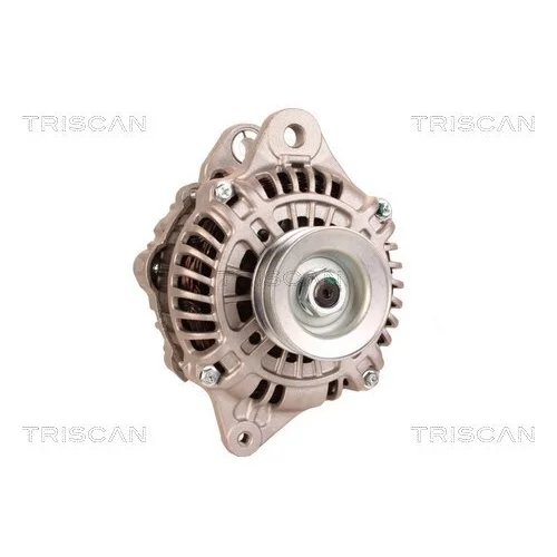 Alternátor 8310 13050 /TRISCAN/ - obr. 4