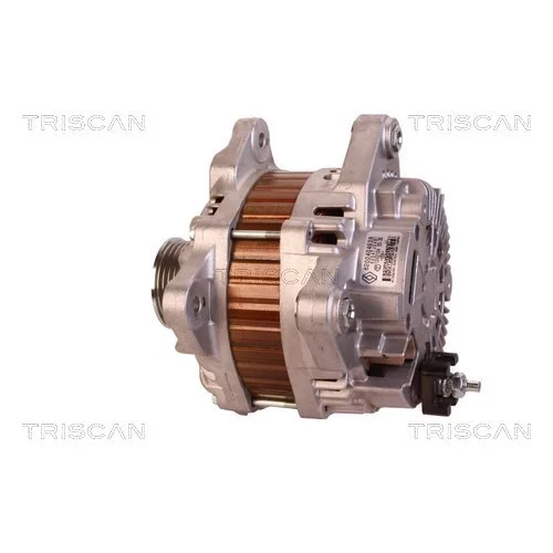 Alternátor 8310 13050 /TRISCAN/ - obr. 7