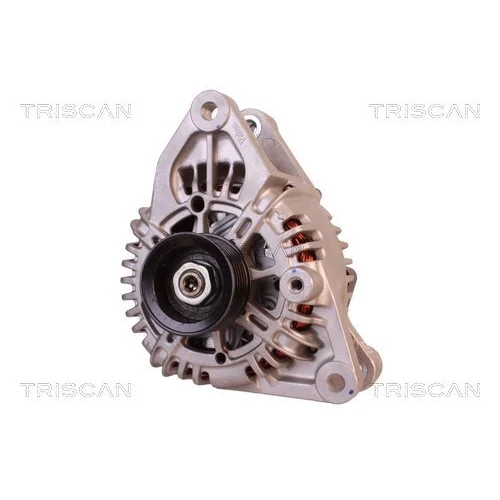 Alternátor 8310 14012 /TRISCAN/ - obr. 5