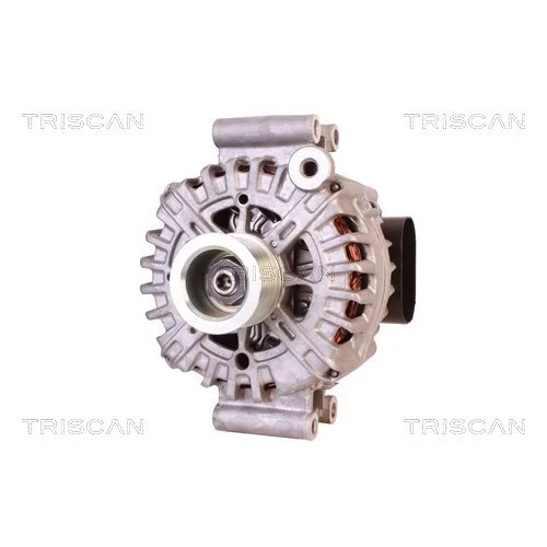 Alternátor 8310 14013 /TRISCAN/ - obr. 5