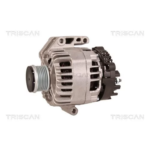 Alternátor 8310 15007 /TRISCAN/ - obr. 6