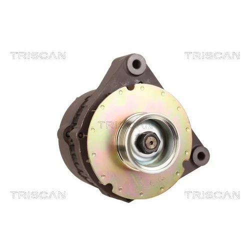 Alternátor 8310 15021 /TRISCAN/ - obr. 4