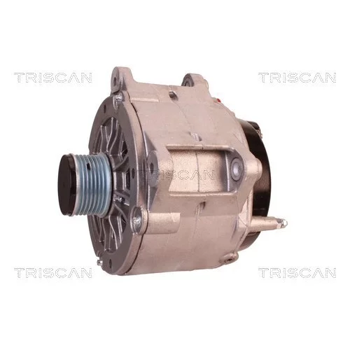 Alternátor 8310 16028 /TRISCAN/ - obr. 6