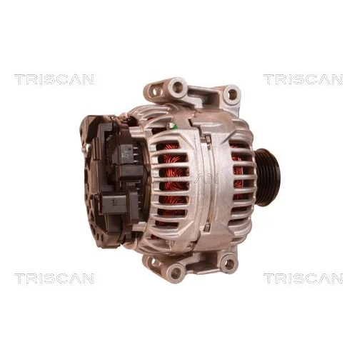 Alternátor 8310 16031 /TRISCAN/ - obr. 2