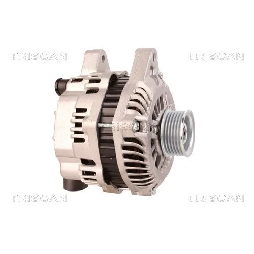Alternátor 8310 18005 /TRISCAN/ - obr. 3