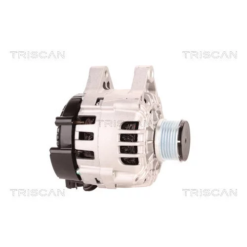 Alternátor 8310 20001 /TRISCAN/ - obr. 3