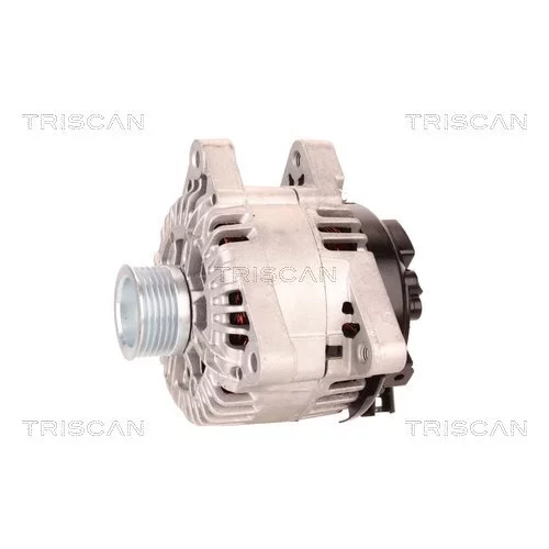 Alternátor 8310 23021 /TRISCAN/ - obr. 6