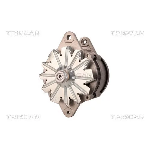 Alternátor 8310 23027 /TRISCAN/ - obr. 5