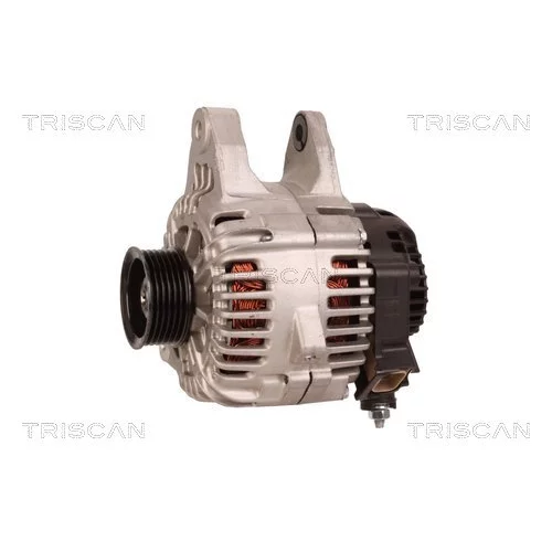 Alternátor 8310 23040 /TRISCAN/ - obr. 6