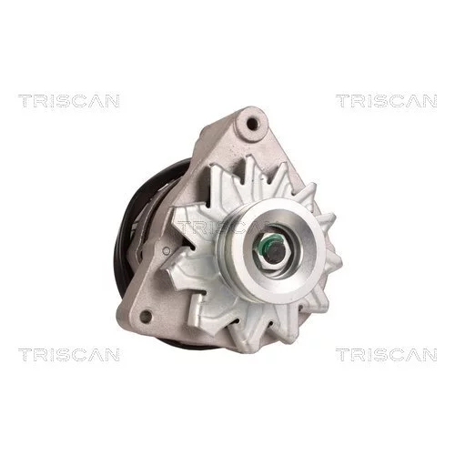 Alternátor 8310 24001 /TRISCAN/ - obr. 7