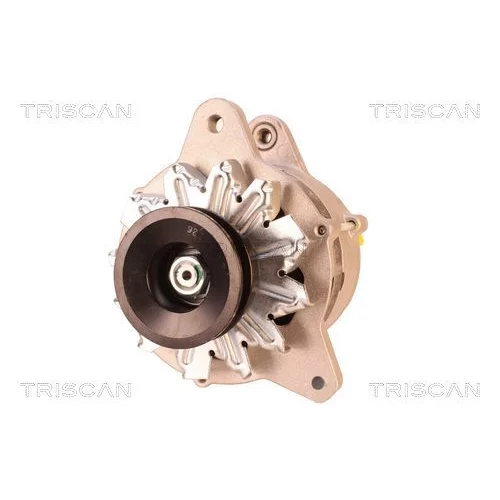 Alternátor TRISCAN 8310 24002