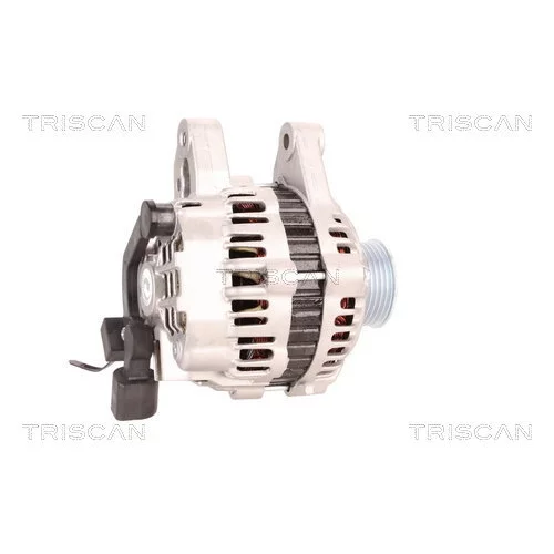 Alternátor 8310 24020 /TRISCAN/ - obr. 2