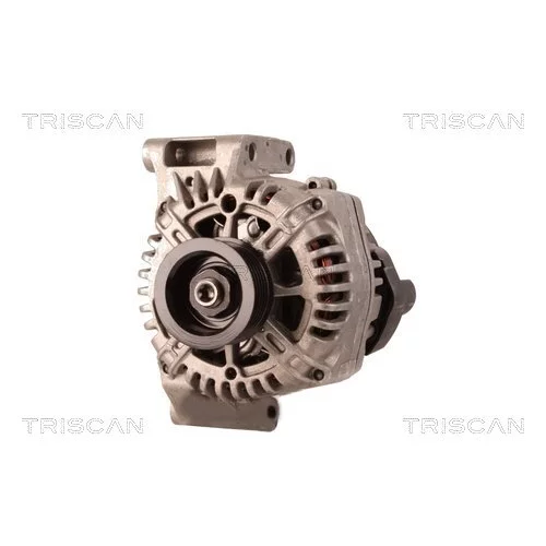 Alternátor 8310 25018 /TRISCAN/ - obr. 5