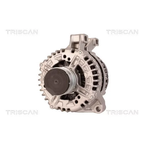 Alternátor 8310 27015 /TRISCAN/ - obr. 5