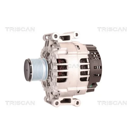 Alternátor 8310 29007 /TRISCAN/ - obr. 6