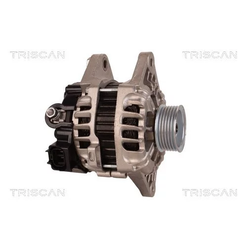Alternátor 8310 29019 /TRISCAN/ - obr. 3