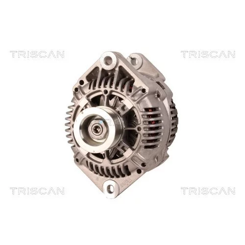 Alternátor 8310 29030 /TRISCAN/ - obr. 5